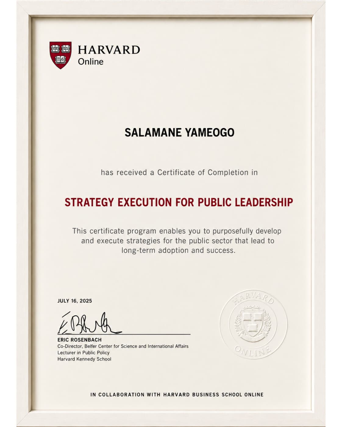 Strategy Execution for Public Leadership — Harvard Online